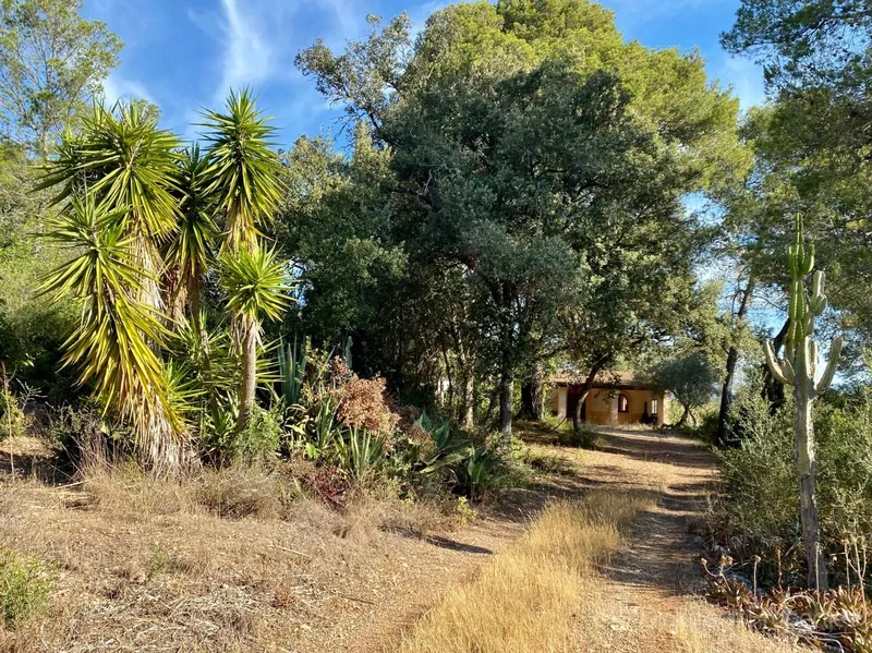 House for sale in Sencelles, Mallorca, Baleares, Spain — photo 12
