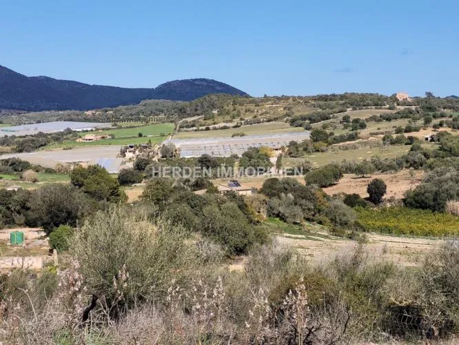 Building Plot for Sale in Manacor, Mallorca — photo 8