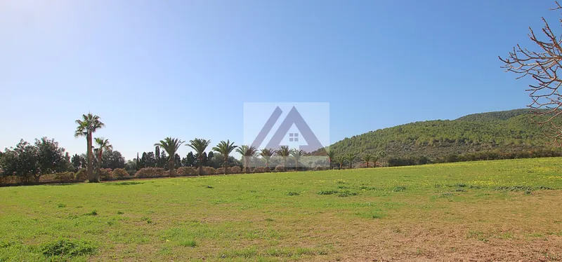 Luxury villa for sale in Manacor — photo 12