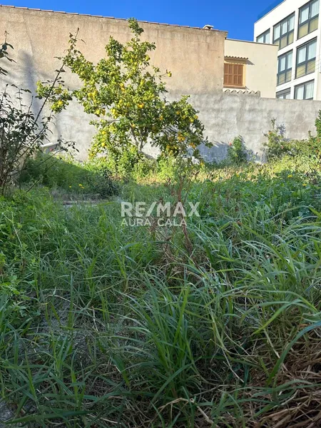 Plot — photo 4