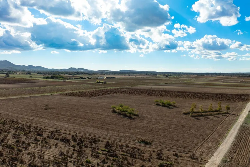 Mediterranean building plot with approved finca project and panoramic views near Manacor — photo 4