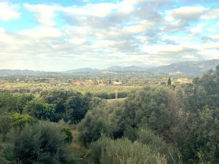 Urban plot of land - Campanet (Campanet) — photo 1