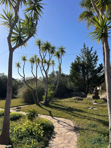 Unique finca on Mallorca with gastronomy and event license and top investment opportunity — photo 8