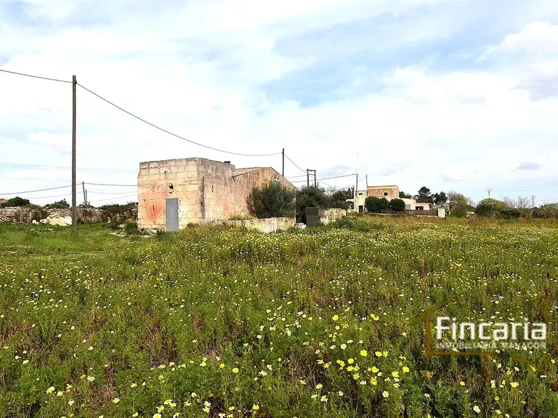 Country house in Manacor, Mallorca — photo 2