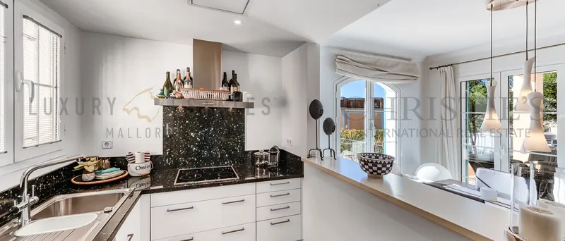 Sea view apartment in Port Andratx with large terrace — photo 3