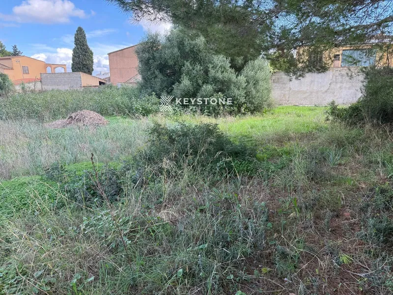 Plot — photo 5