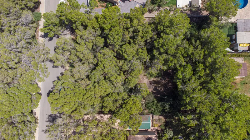Project for turnkey villa with pool in Sol de Mallorca — photo 3