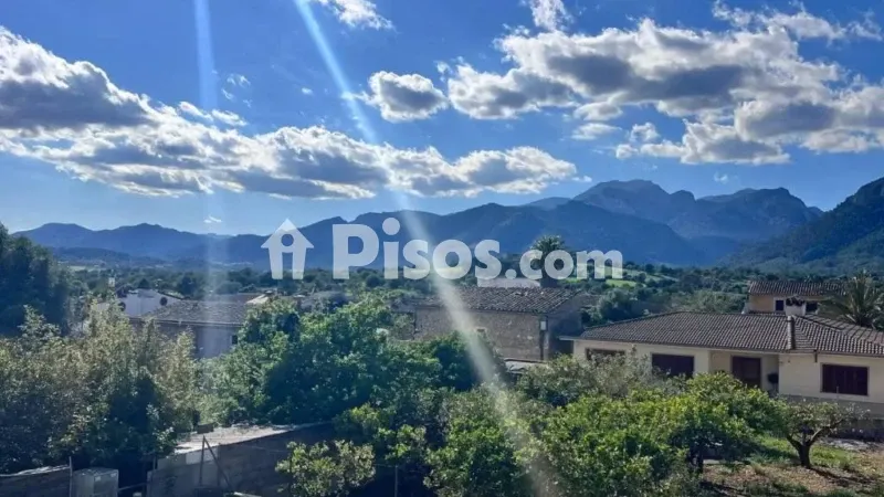 Apartment in Campanet — photo 2