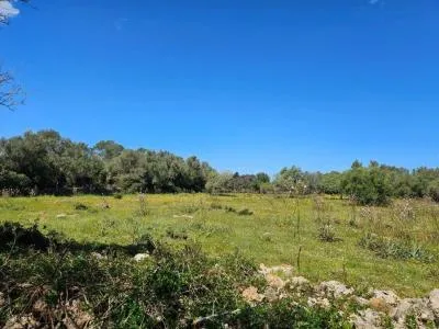 Urban plot of land - Costitx, plot surface 14898 m2, distance to the sea 20 km — photo 2