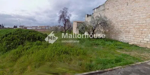 Urban Plot of Land - Sa Pobla, Plot Surface 515 m², Distance to the Sea 10 km — photo 2