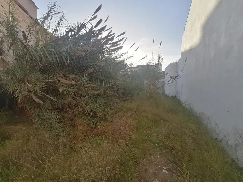 Buildable plot in the center of Felanitx — photo 5