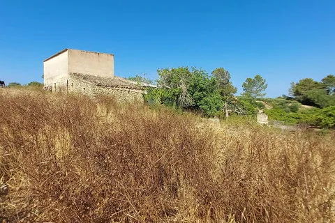 Land in Maria de la Salut, Mallorca — photo 8