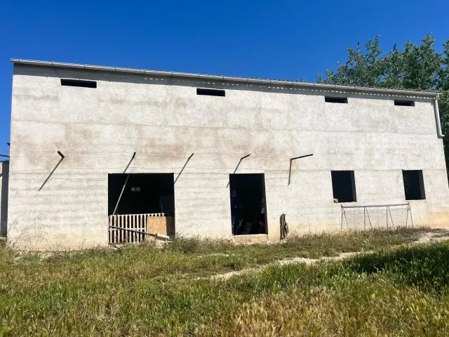 Fantastic investment finca for sale on the outskirts of Moscari, Mallorca — photo 3