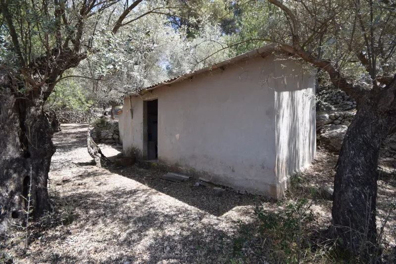 Olive groove with small cottage in the mountains of Sóller — photo 4