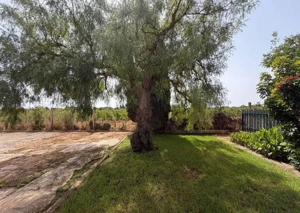 Detached house in Santa Eugenia Nn, Santa Eugenia — photo 2