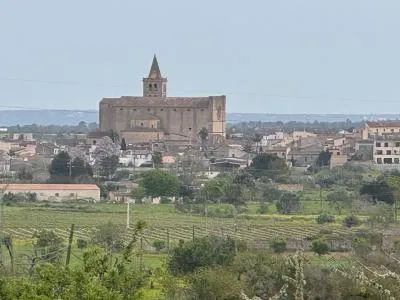 Rural Land - Porreres — photo 7