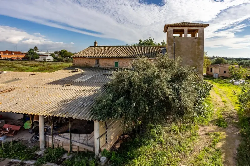 Exclusive Farmhouse for Renovation in Palma de Mallorca – Plot of 34,000 m² with Immense Potential — photo 11