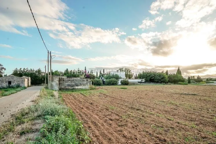 Spacious building plot for sale in Muro, Mallorca — photo 3