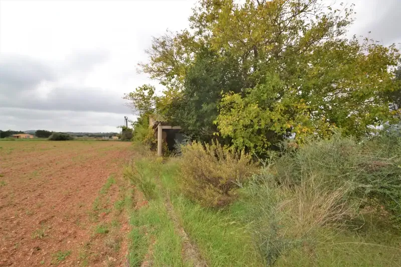 Plot of 15300 square meters with tool shed to be renovated — photo 4