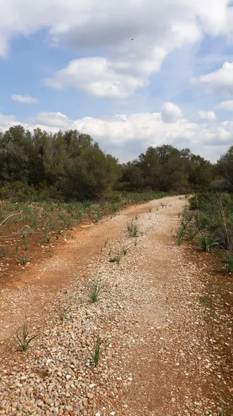 Lovely Huge Plot with Possibility to Build a 290 sqm House — photo 4