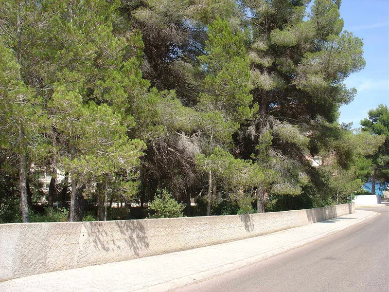 Urban Plot in Canyamel — photo 1