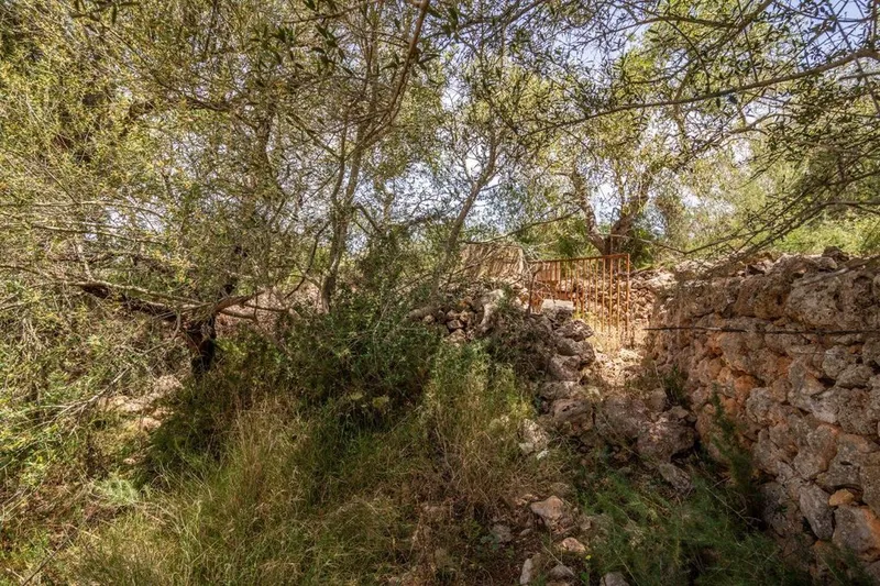Rural or Farmhouse in Costitx, Province of Balearic Islands — photo 12