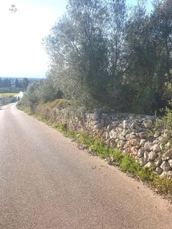 Rural Land - Muro (Muro afueras), Built Surface 57m², Plot Surface 5269m², Distance to the sea 10 Km. — photo 3