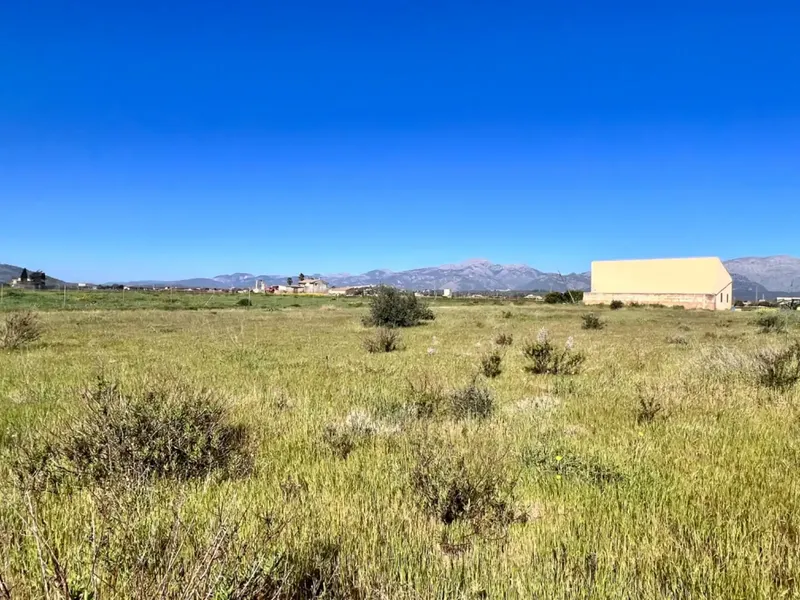 Rustic estate between Sa Pobla and Muro, with over 21,700 m2 of land and several constructions, one of them a large safareig and the other a — photo 9