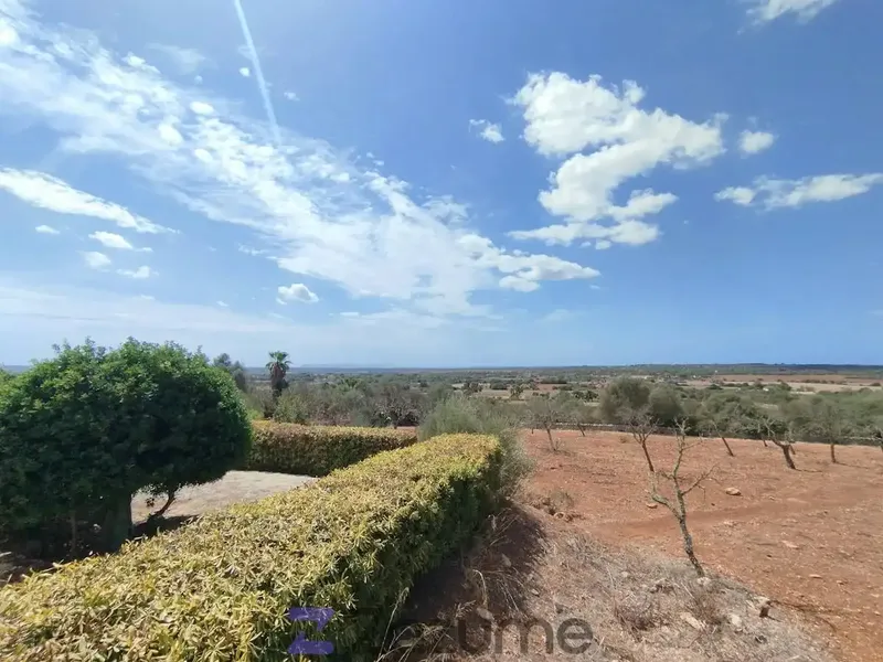 Zazume brings you this spectacular detached exterior house with private garden, terrace, sea views and air conditioning in Ses Salines — photo 4