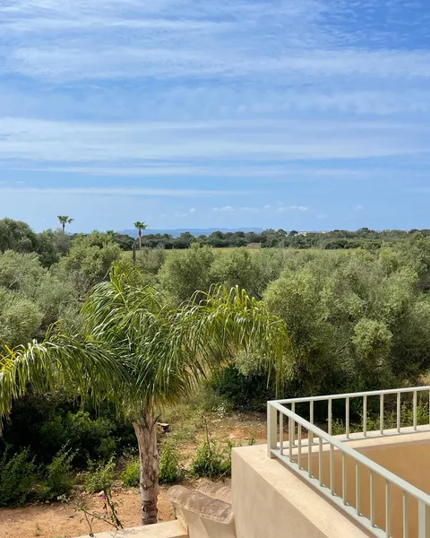 Newly built finca with sea views and a separate outbuilding near Sa Ràpita — photo 4