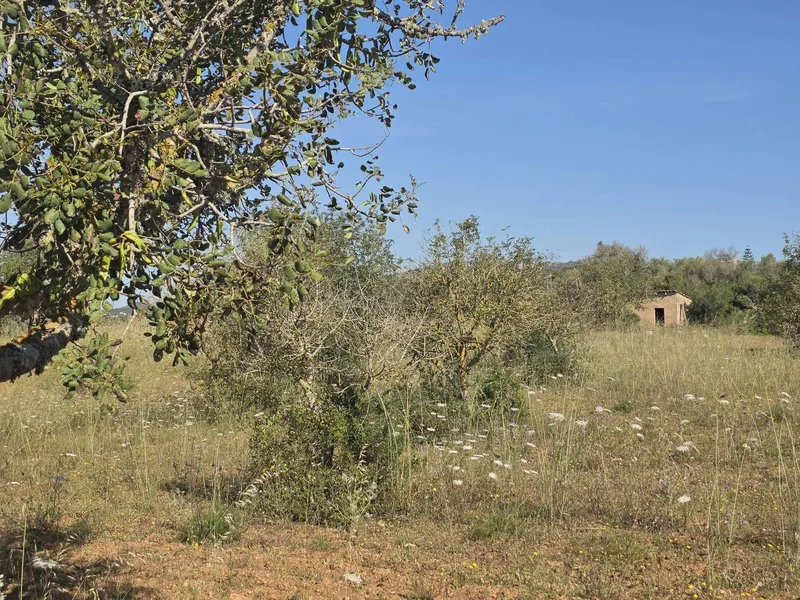 Exclusive building plot with panoramic views — photo 5