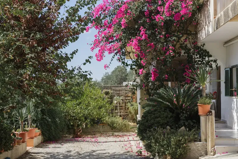 Unique opportunity in Inca, Son Amonda! Ideal for families or investors! — photo 7