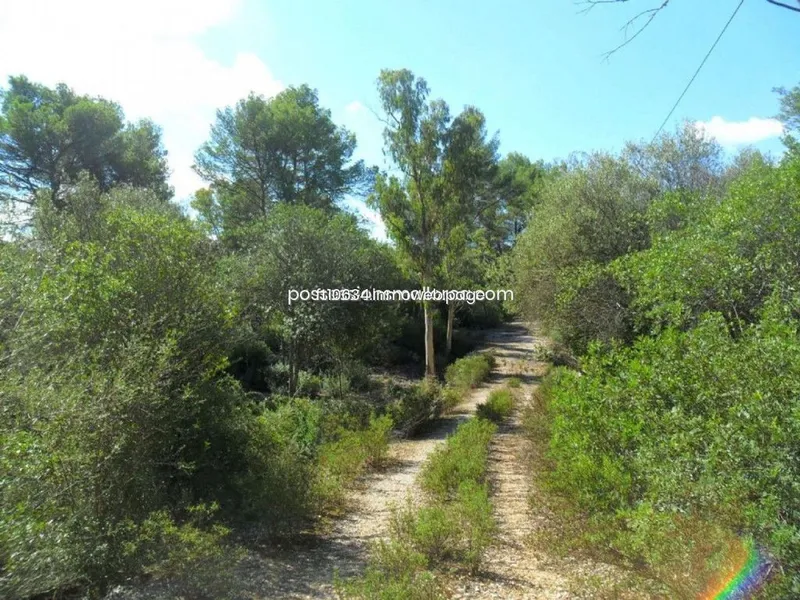 Land in Sencelles, Province of Balearic Islands — photo 5