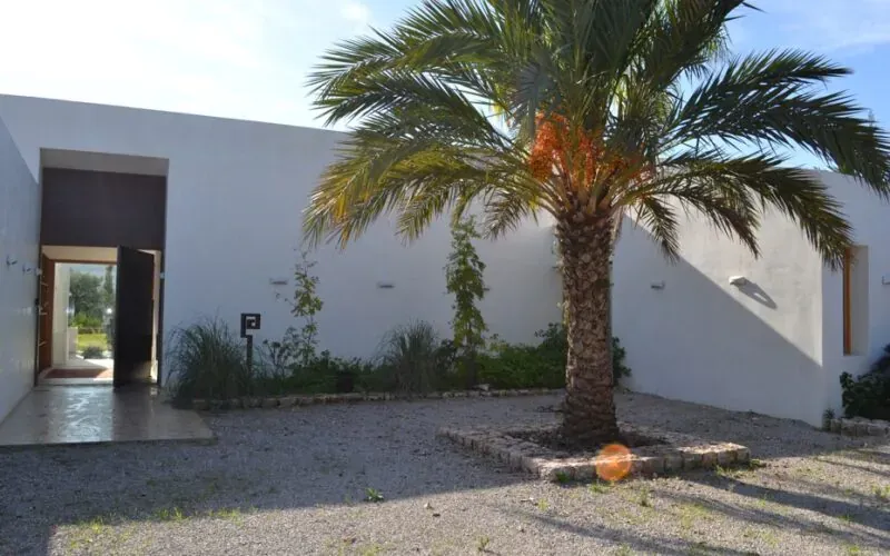 Contemporary finca with pool and expansive gardens near Pollensa – PM07396 — photo 4