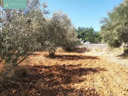 Rustic property - Selva (Afueras), Built Surface 1m², Plot Surface 7500m² — photo 3