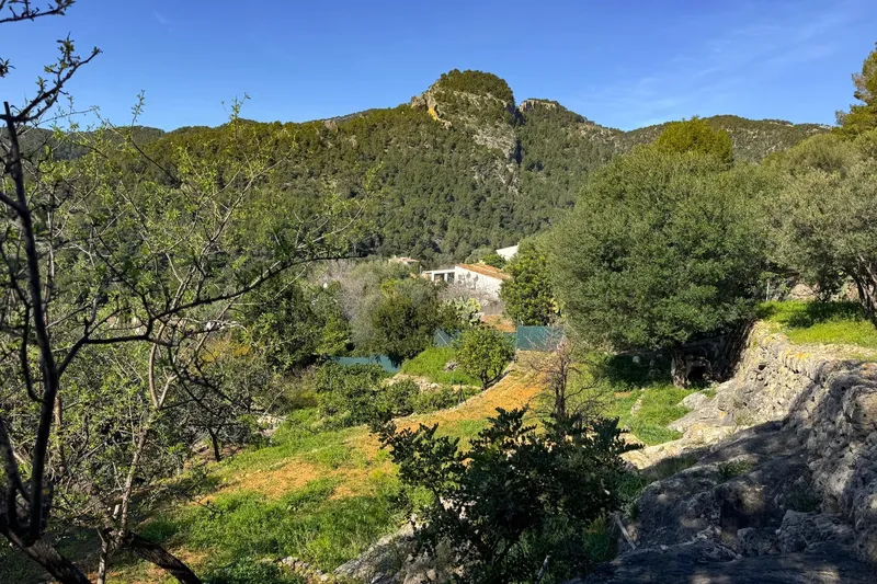 Village house - Alaró — photo 4