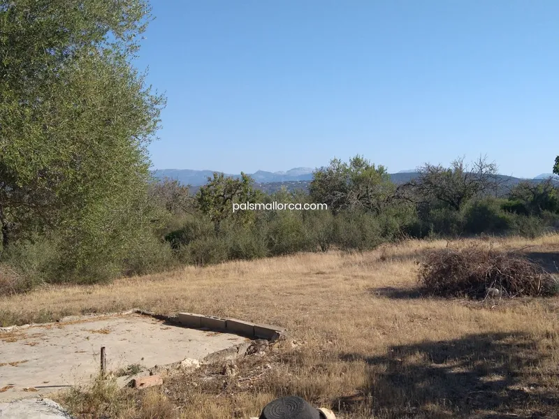 Country House in Palma — photo 8