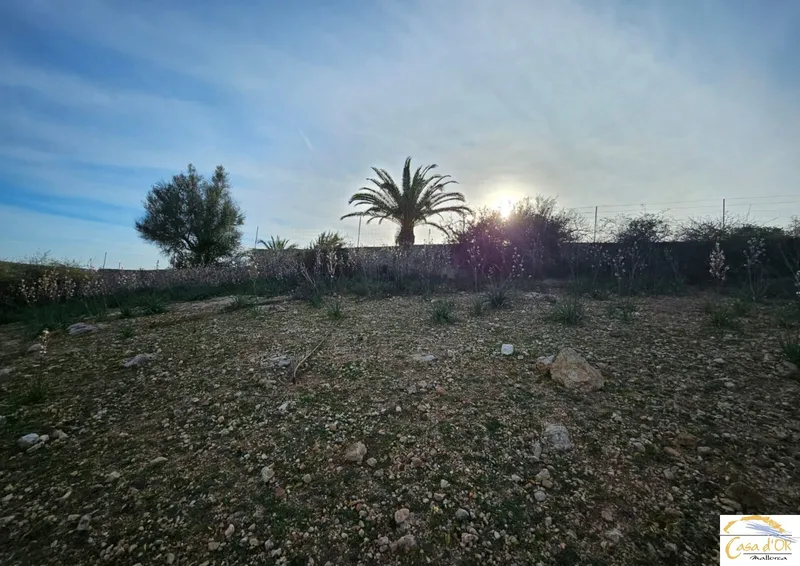 Exclusive Newly Built Luxury Finca with Designer Architecture, Pool and Stunning Open Views Between Porto Cristo and Manacor — photo 4