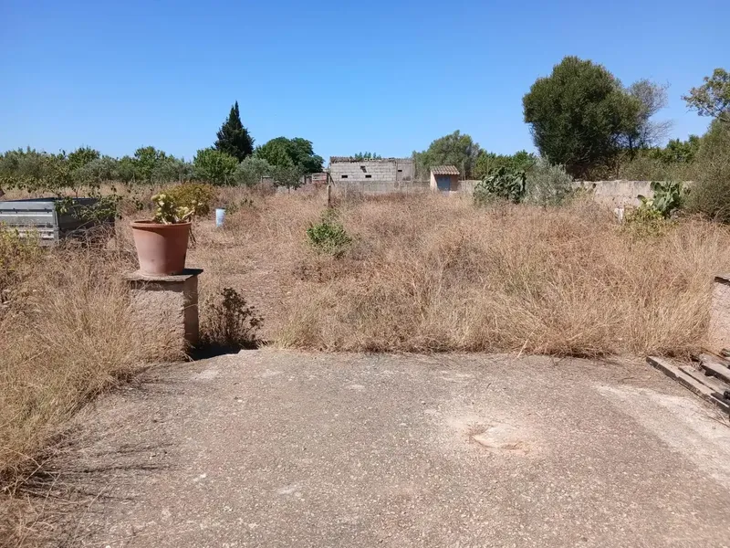 Located in the charming town of Consell, between Santa Maria and Consell, accessible via a comfortable paved road adjacent to the highway — photo 2