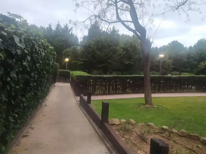 Se vende, maravillosa, cómoda, tranquila y luminosa planta baja, en perfecto estado y lista para entrar a vivir. Consta de gran y luminoso s — photo 4