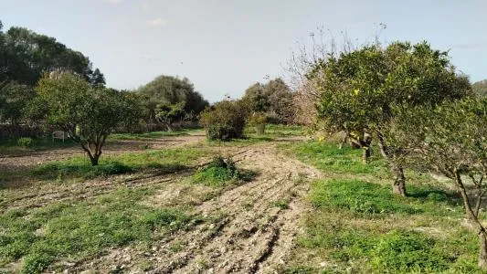 House - Felanitx (Es Carritxó), Built Surface 40m², Plot Surface 3473m², 1 Room, 1 Bathroom — photo 12