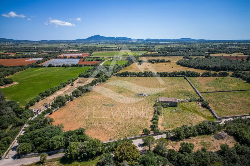 Old finca to renovate between Felanitx and Vilafranca — photo 10