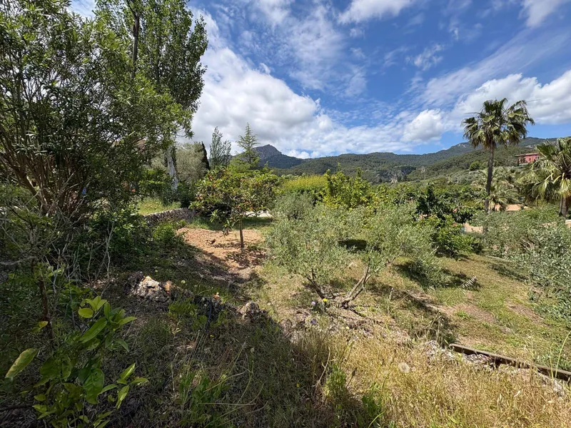 Urban Plot of Land - Puigpunyent (Puigpunyent) — photo 6