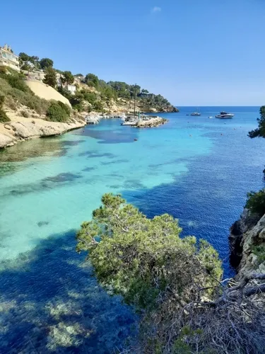Exclusive sea front building plots in Sol de Mallorca — photo 1