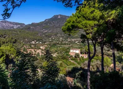 Rustic Finca in Soller - Deia Road — photo 2