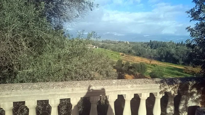 Rural or Farmhouse in Sencelles, Province of Balearic Islands — photo 12