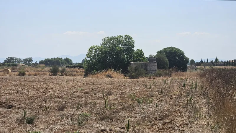 Rustic estate for sale in Muro, in the Son Mieres area — photo 1