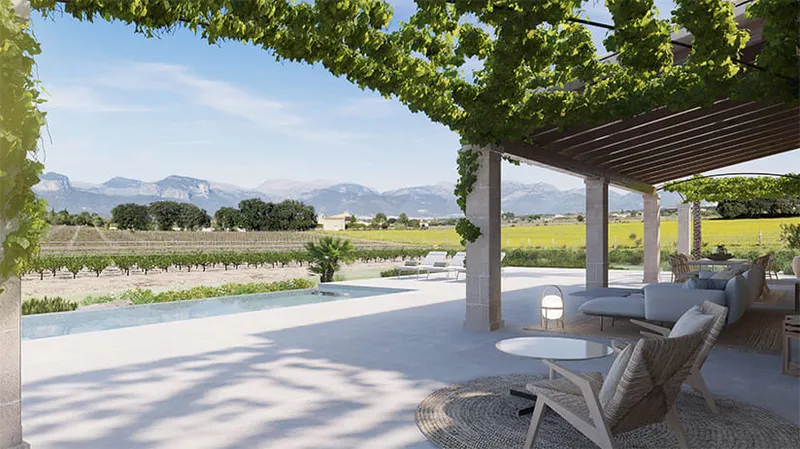 Luxury finca with new villa and vineyards in Sencelles Mas — photo 5