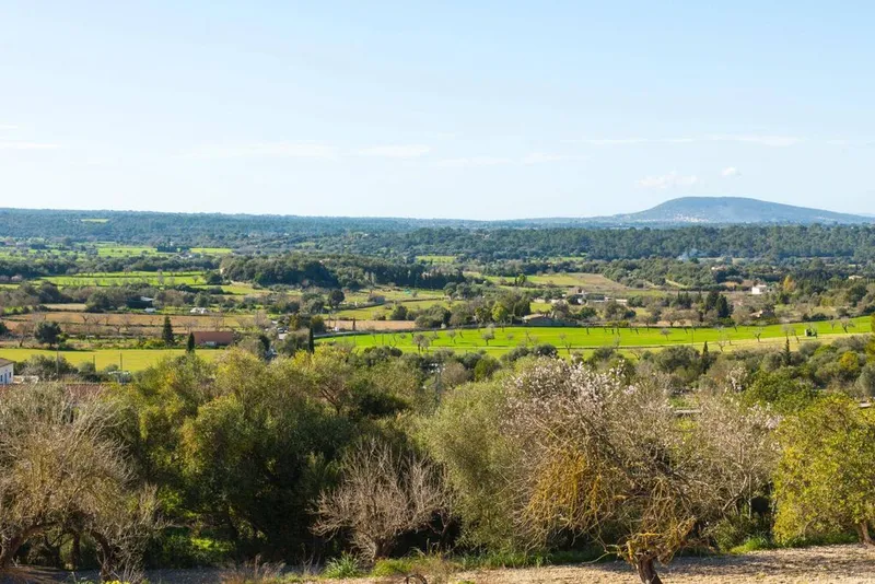 Land in Costitx, Province of Balearic Islands — photo 2