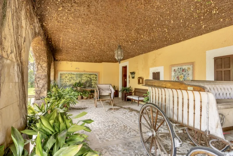 Historic finca in Manacor — photo 7